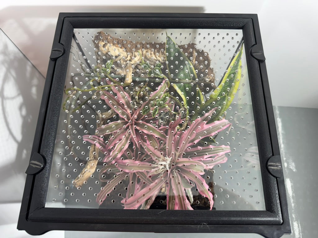 EncloSure™ Enclosure Lid System – For Use On Exo Terra Natural – 12″ × 12″