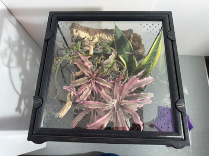 EncloSure™ Enclosure Lid System – For Use On Exo Terra Natural – 12″ × 12″