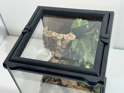 EncloSure™ Enclosure Lid System – For Use On Exo Terra Natural – 8″ × 8″