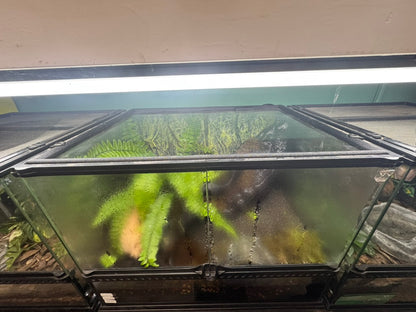 EncloSure™ Enclosure Lid System – For Use On Exo Terra Natural – 18″ × 18″