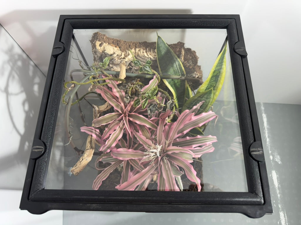 EncloSure™ Enclosure Lid System – For Use On Exo Terra Natural – 12″ × 12″