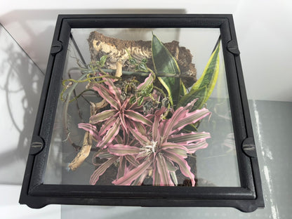 EncloSure™ Enclosure Lid System – For Use On Exo Terra Natural – 12″ × 12″