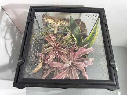 EncloSure™ Enclosure Lid System – For Use On Exo Terra Natural – 12″ × 12″