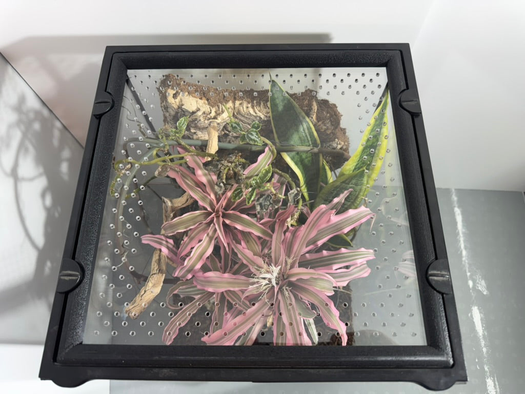 EncloSure™ Enclosure Lid System – For Use On Exo Terra Natural – 12″ × 12″