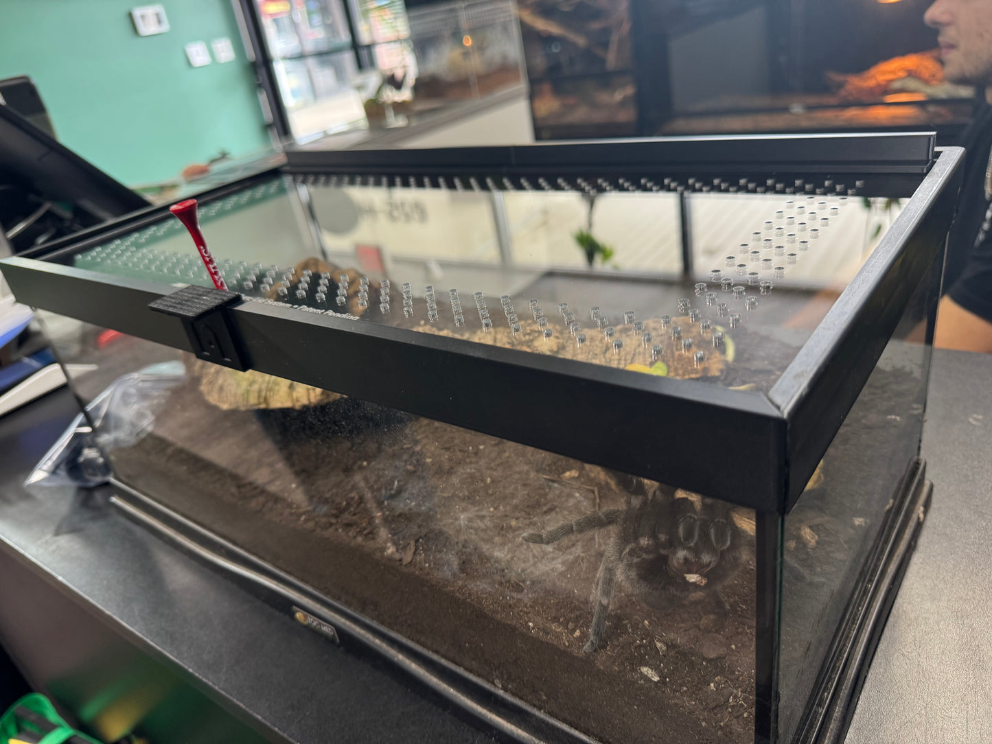 EncloSure™ Enclosure Lid System – For Use On Zoo Med Creatures™ Creature Den Low Profile 10.5" x 20.5"