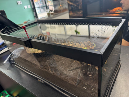 EncloSure™ Enclosure Lid System – For Use On Zoo Med Creatures™ Creature Den Low Profile 10.5" x 20.5"